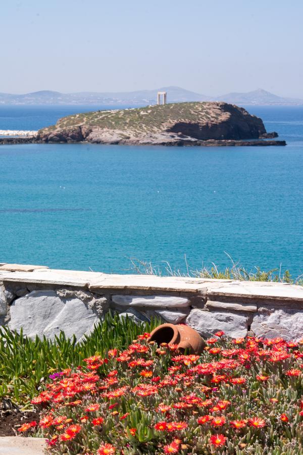 Iliada Suites Naxos City 部屋 写真